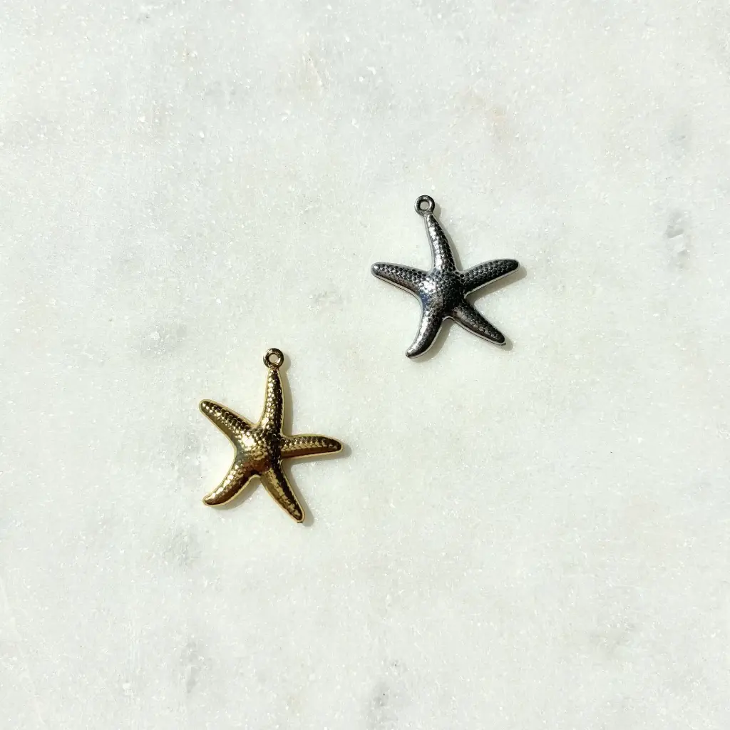 Ensemble étoile de mer.webp