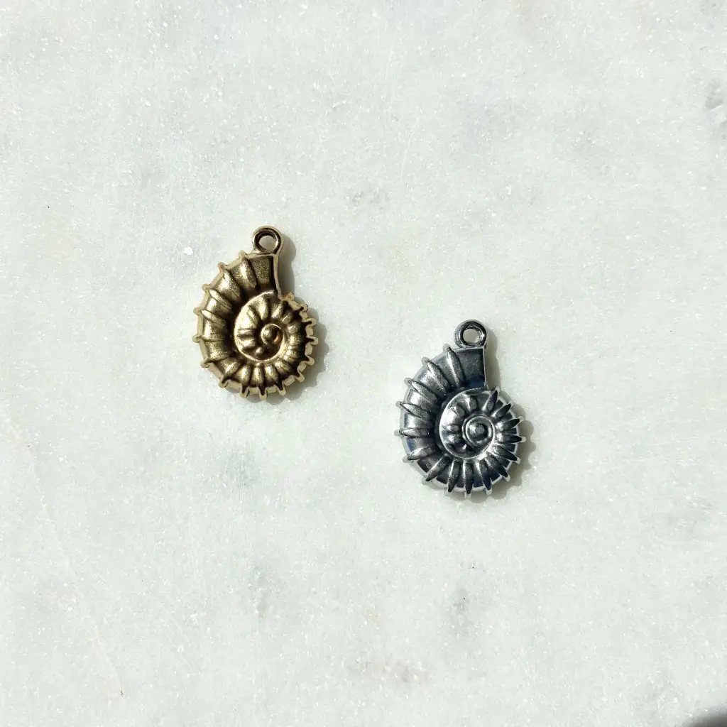 Ensemble Coquillage.webp