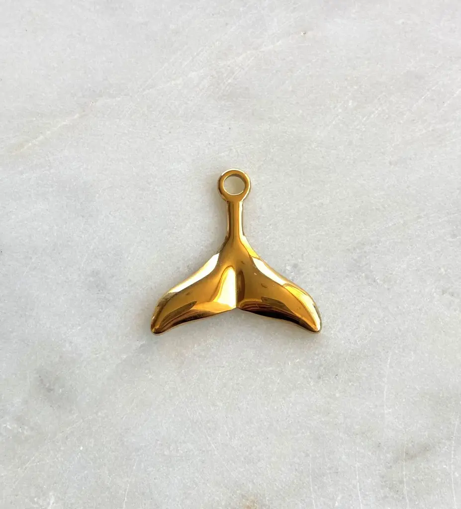 Queue de Baleine Arrière.webp