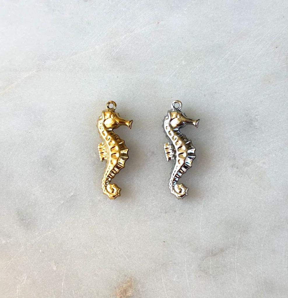 Ensemble d'hippocampe.webp