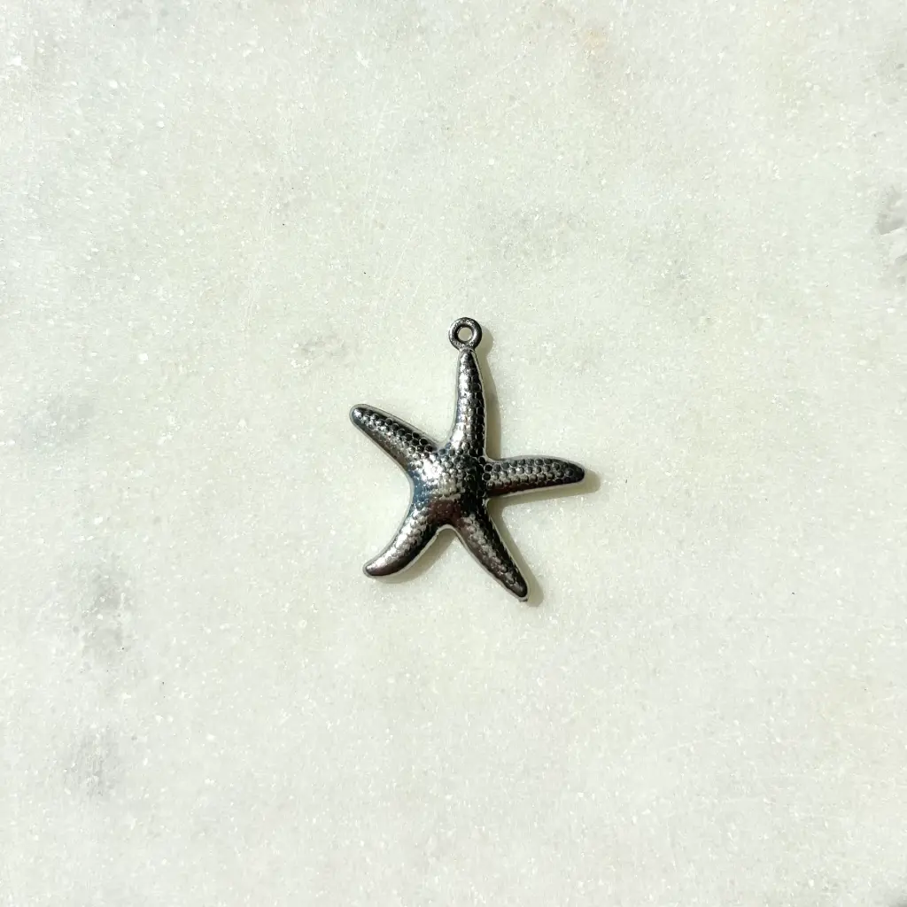 Étoile de mer Argent