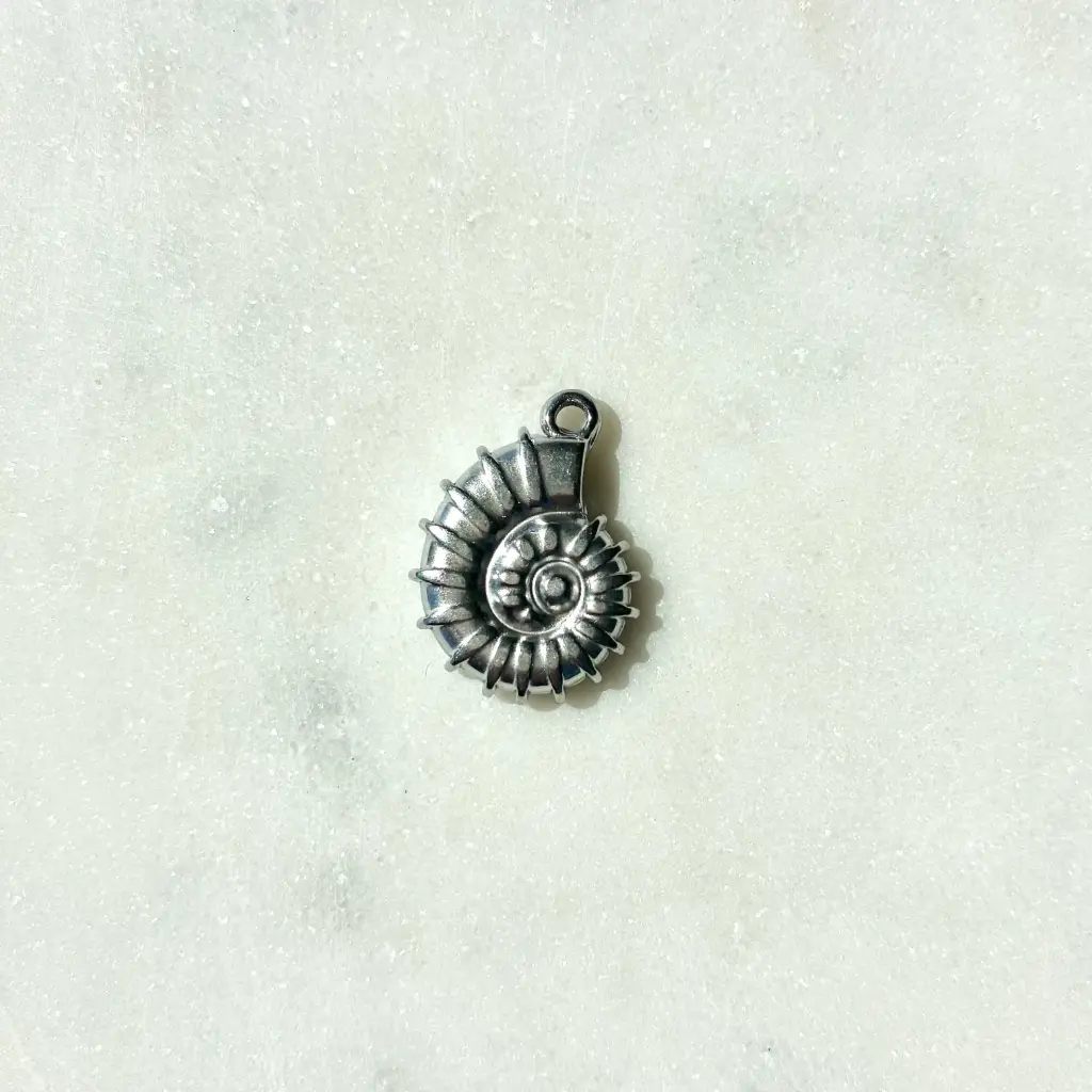 Coquillage Argent