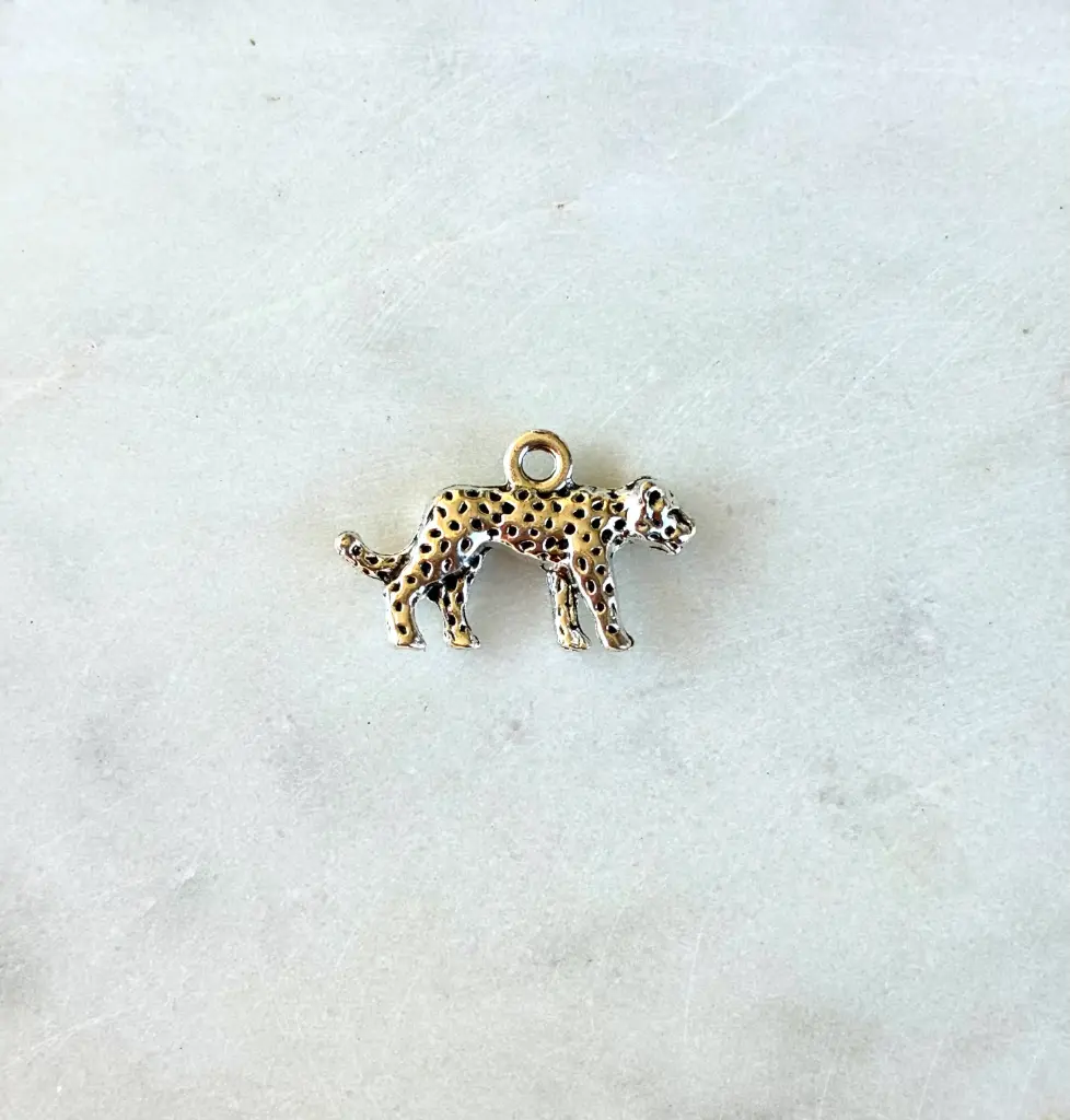 Jaguar Argent