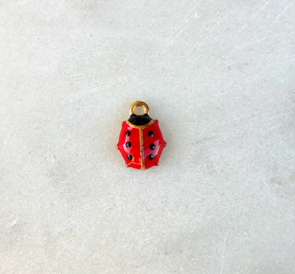 Coccinelle