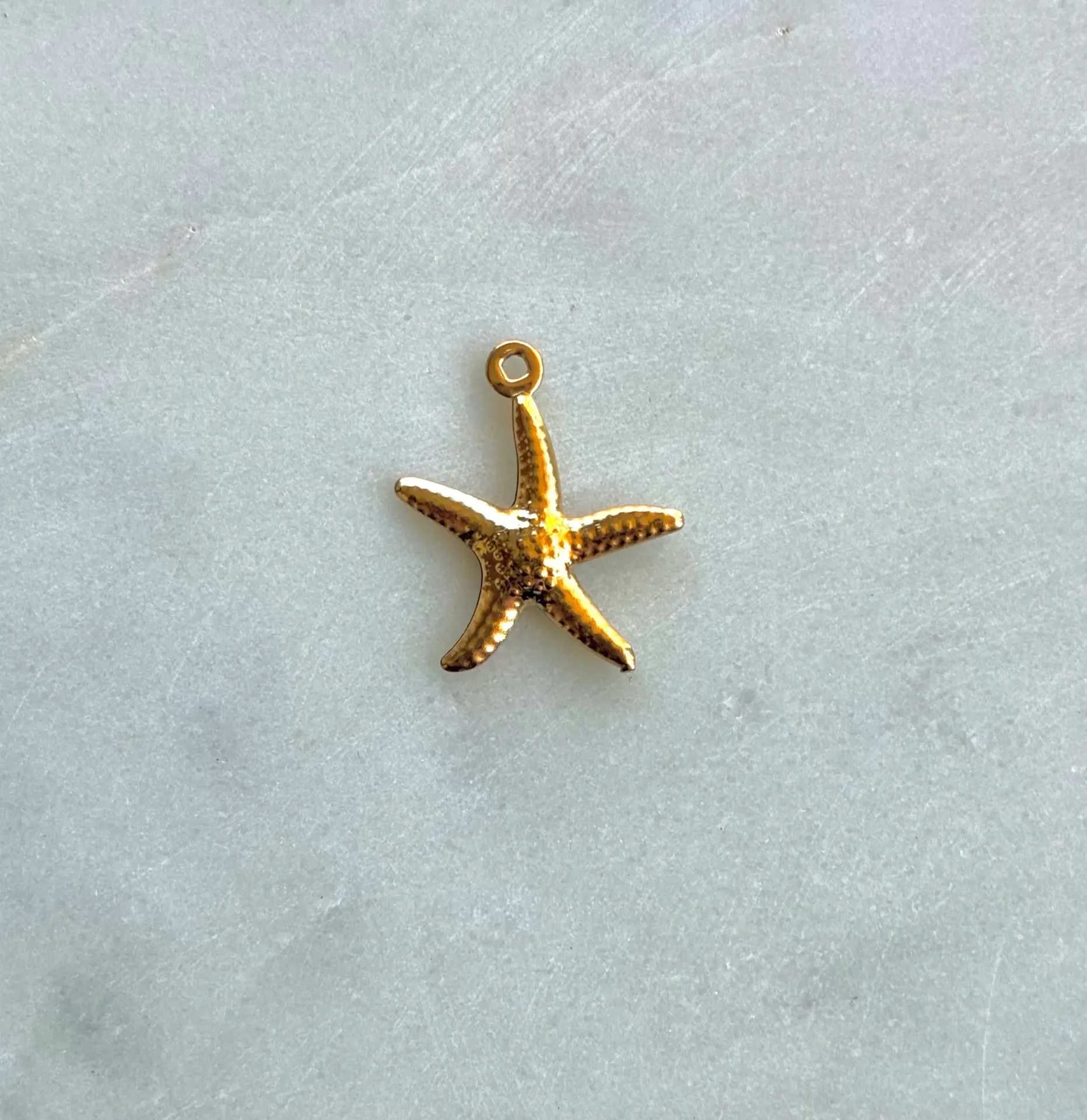 Mini étoile de mer